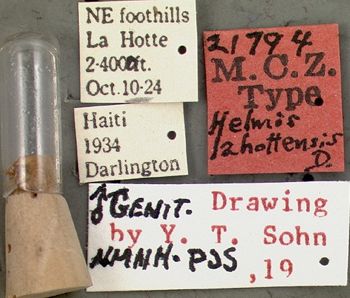 Media type: image;   Entomology 21794 Aspect: labels